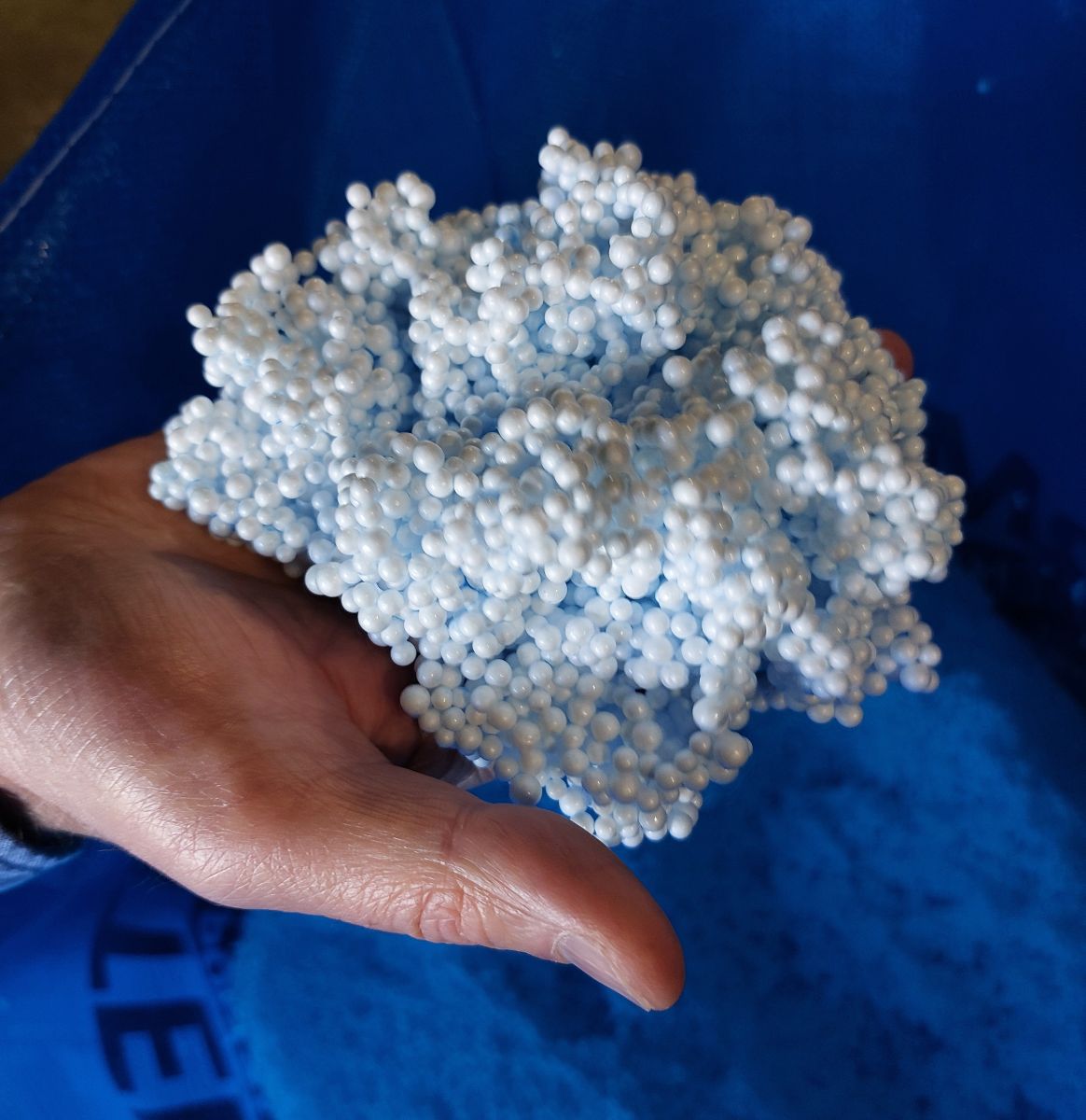 En visite chez Edilteco France, Le Pontet, Vaucluse. ©